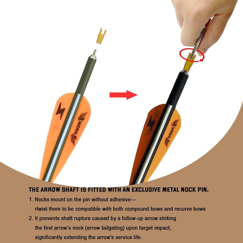e5e10 31inch Carbon Arrow Archery Targeting Practice Hunting Arrows for Compound & Recurve Bow with Removable Tips(Pack of 12) - Image 2
